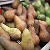 Pears in crates