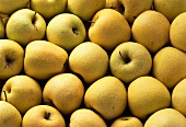 Viele Äpfel der Sorte Golden Delicious (bildfüllend)