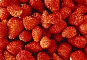 Frisch gewaschene Walderdbeeren (bildfüllend)