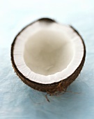 Half a coconut on pale blue background