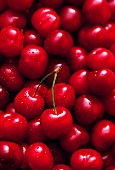 Cherries with drops of water (filling the picture)