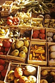 Various types of pumpkin in crates