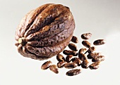 Cacao fruit and cocoa beans