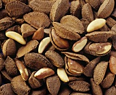 Brazil nuts with & without shells (filling the picture)