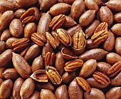 Pecans, shelled & unshelled (filling the picture)