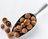 Hazelnuts on and beside a scoop