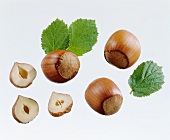 Hazelnuts