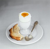 Hard-boiled breakfast egg