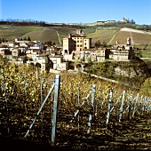 Die Stadt Barolo mit Schloss im Piemont, Italien