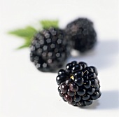 Three blackberries
