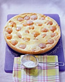 Apricot quark cake, sieve with icing sugar in front