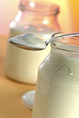 Natural yoghurt in two yoghurt jars and on spoon