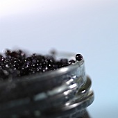 German caviare (black lumpfish roe) in jar