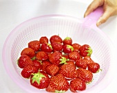 Washing strawberries in a strainer