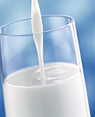 Milch ins Glas einschenken