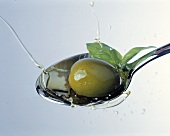 Olive mit Olivenöl und Basilikum auf Löffel