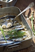 Provencal style marinated sardines
