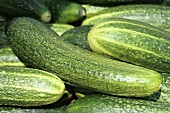 Cucumbers (filling the picture)