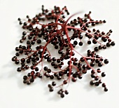 Elderberries