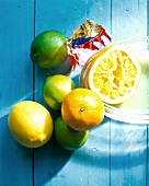 Still life with citrus fruits