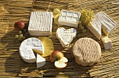 Various types of cheese from Normandy