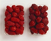 Two types of raspberries in plastic punnets