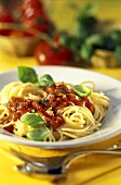 Spaghetti al pomodoro (Spaghetti with tomato sauce, Italy)