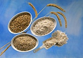 Grains of rye, crushed rye & rye flour on blue background