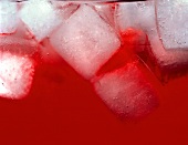 Campari with ice cubes (close-up)