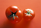 Zwei Tomaten auf rotem Untergrund