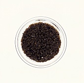 Schwarzer Kaviar im Schälchen