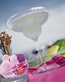 A glass of Margarita