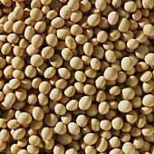 Soya beans (filling the picture)