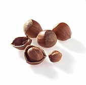 Hazelnuts with and without shells