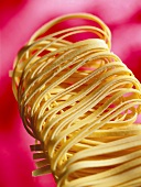Tagliatelle (ribbon noodles)