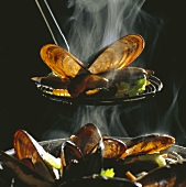 Cooked mussels on skimmer above mussel pan