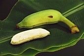 Small greenish yellow apple bananas, one peeled