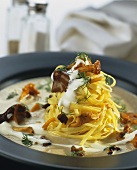 Ribbon noodles with forest mushrooms and crème fraiche