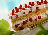 A piece of buckwheat cake with redcurrants