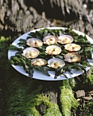 Scallops in white wine sauce on seaweed