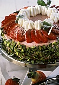 Strawberry cream gateau with pistachio border