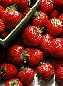 Erdbeeren mit einer Schale