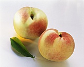 Two peaches with leaf