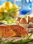 Two red mullet on kitchen table with ingredients in background