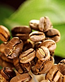 Roasted Coffee Beans