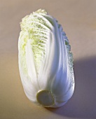 A Chinese Cabbage