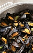 Mussels in vegetable and wine stock