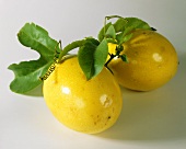Gelbe Passionsfrüchte (gelbe Maracujas) mit Blättern