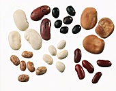 Various types of bean