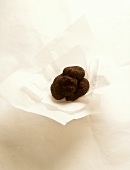 Black truffle on paper